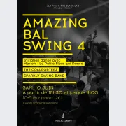 Amazing Bal Swing 4