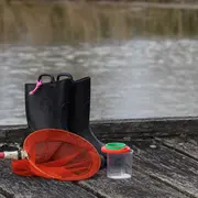 Découverte de la mare
