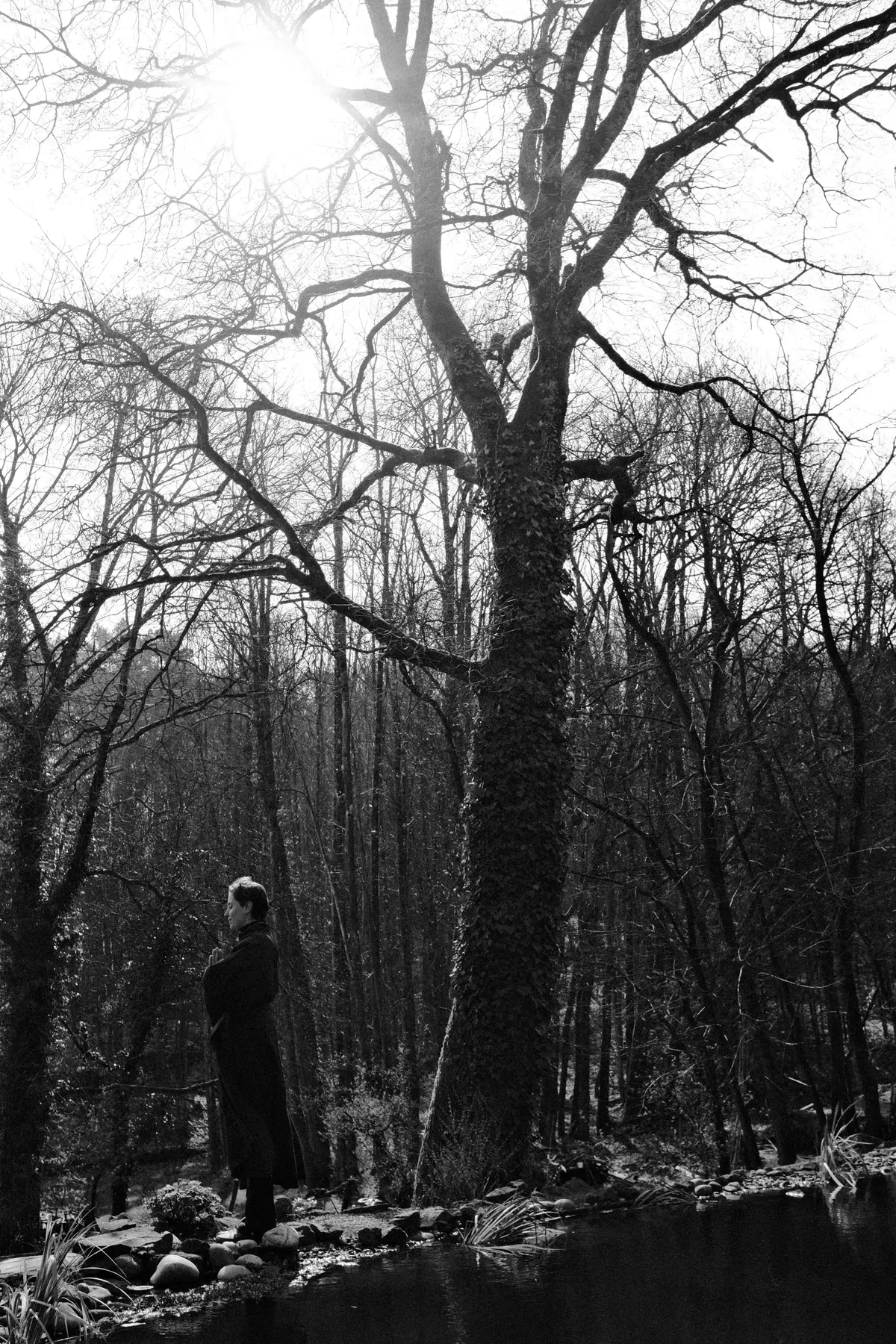 Art Zen nocturne - Immersion sous le ciel des Perséides (édition unique)