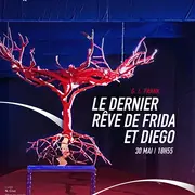 Metropolitan Opera : Le Dernier Rêve De Frida Et Diego 