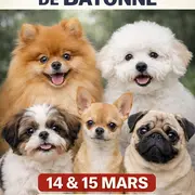 Salon du chiot et du bien-être animal 