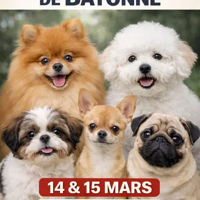 Salon du chiot et du bien-être animal 
