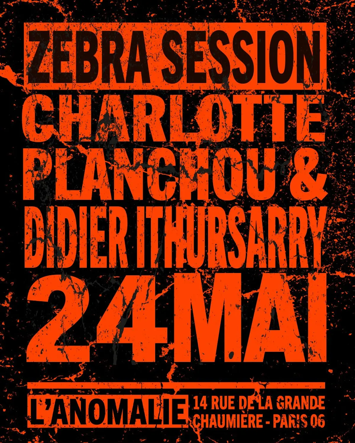 Zebra - Session 