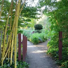 Jardin botanique ALAIJE