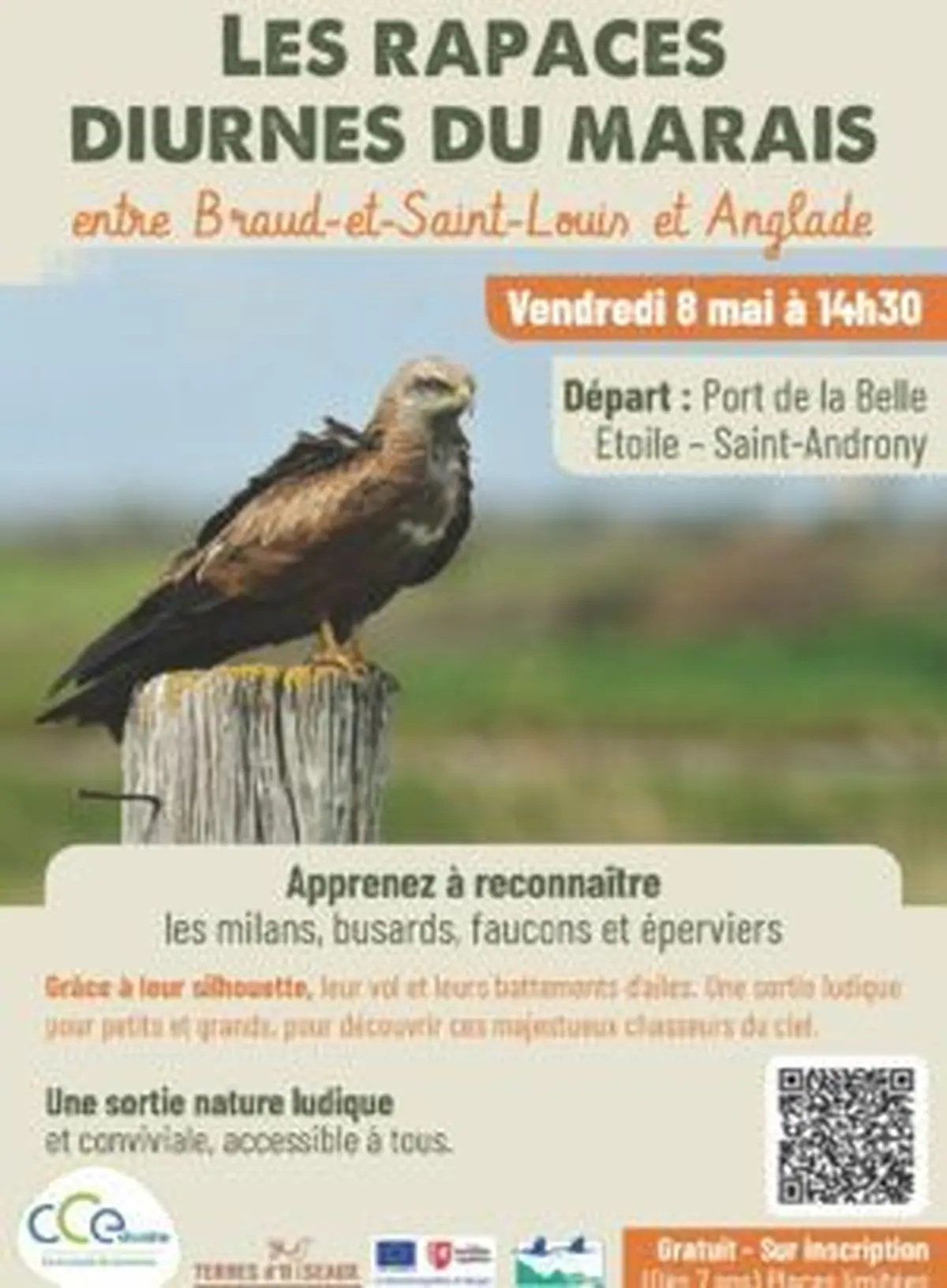 Sortie natura 2000 sur les rapaces diurnes