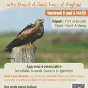 Sortie natura 2000 sur les rapaces diurnes