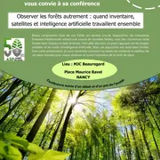 Observer la forêt autrement !