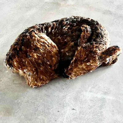 Trois expositions en novembre au Séchoir