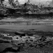 The Basilisk - Yana Kononova