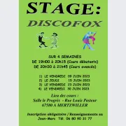 Stage de Discofox