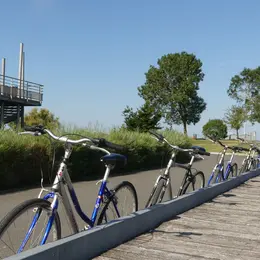 Sortie vélo