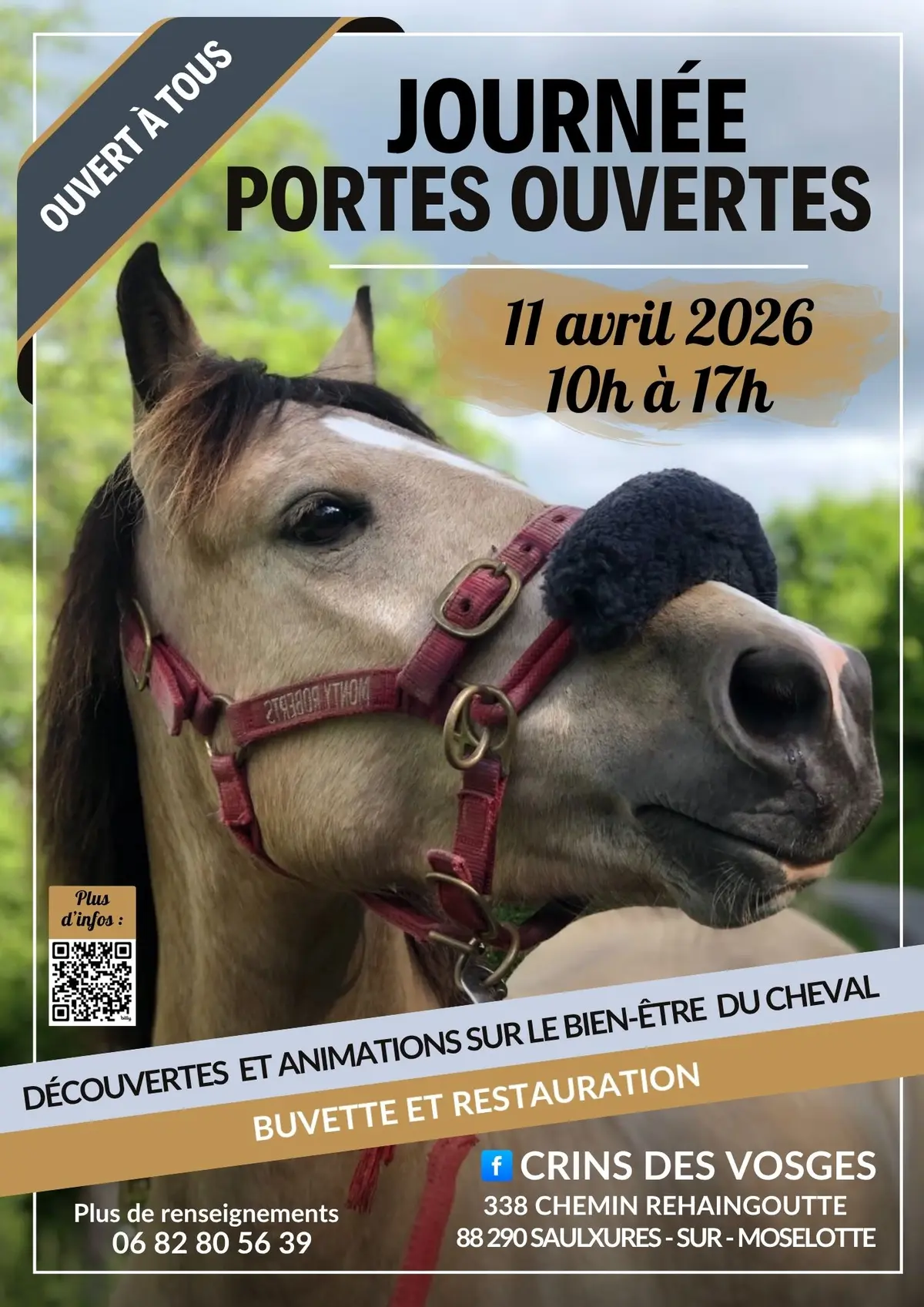 Journée Portes Ouvertes - Crins des Vosges