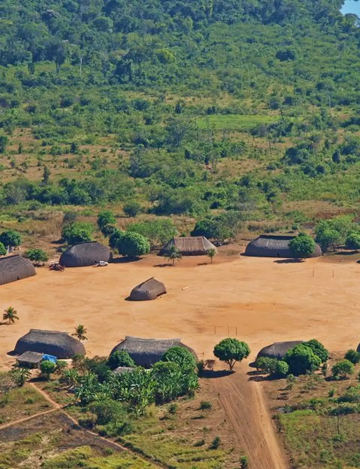 Ciné-conférence : Amazonia