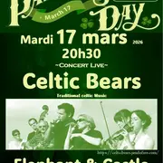 Saint Patrick au Pub Elephant ans Castle Lyon 05 avec le groupe Celtic Bears 