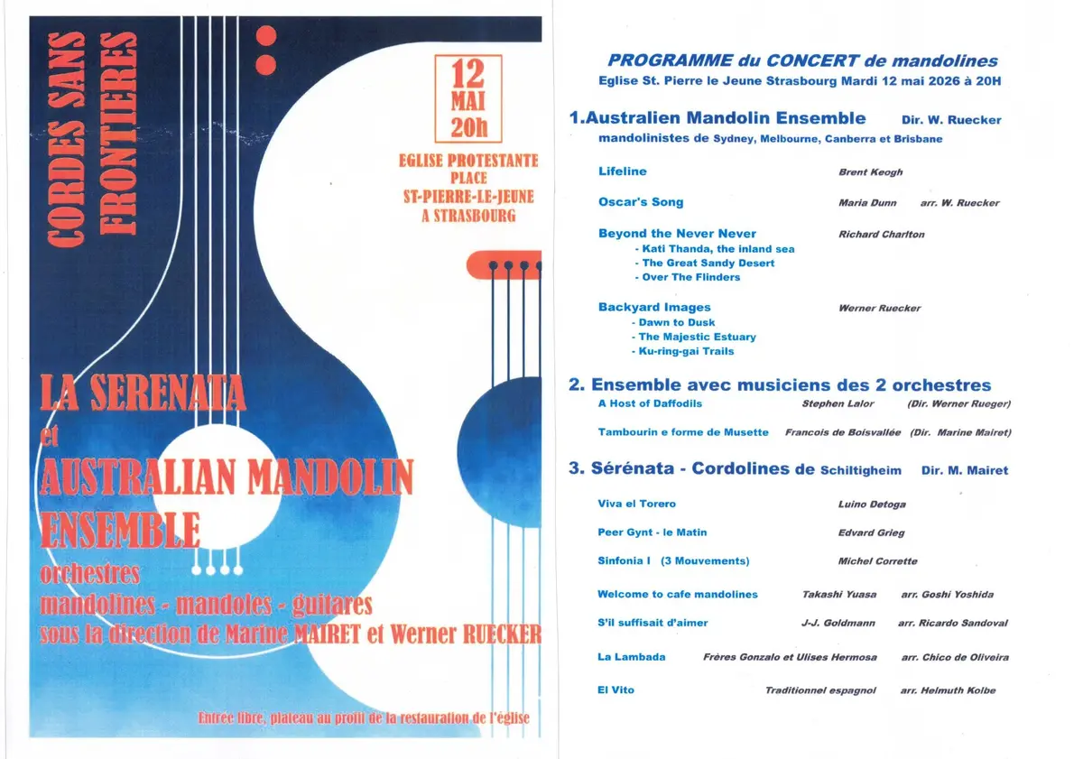 Concert international de Mandoline