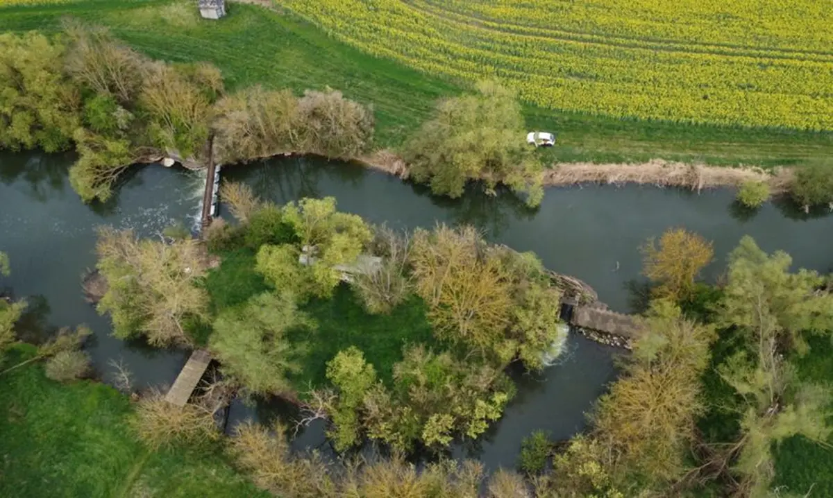 Journée mondiale des zones humides – Restauration écologique de la Seille