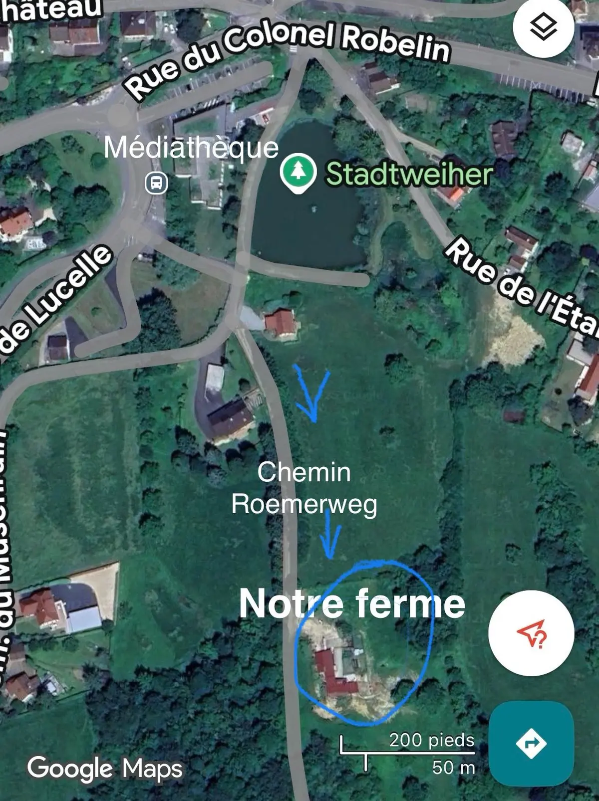 Matinée porte ouverte * Découverte 