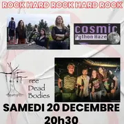 Concert Rock & Hard Rock au Meeple