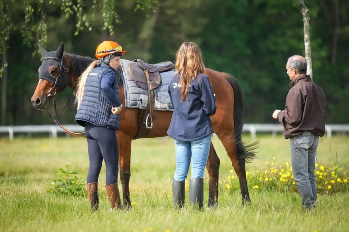 AFASEC de Mont-de-Marsan : découvrez ses formations et métiers hippiques