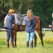 AFASEC de Mont-de-Marsan : découvrez ses formations et métiers hippiques