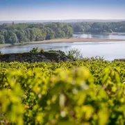 Les vins du Val de Loire