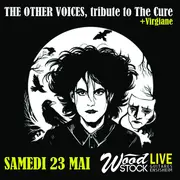 The Other Voices, tribute to The Cure + Virgiane chez Wood Stock Guitares