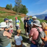 Le Talhorn, un océan en Alsace !