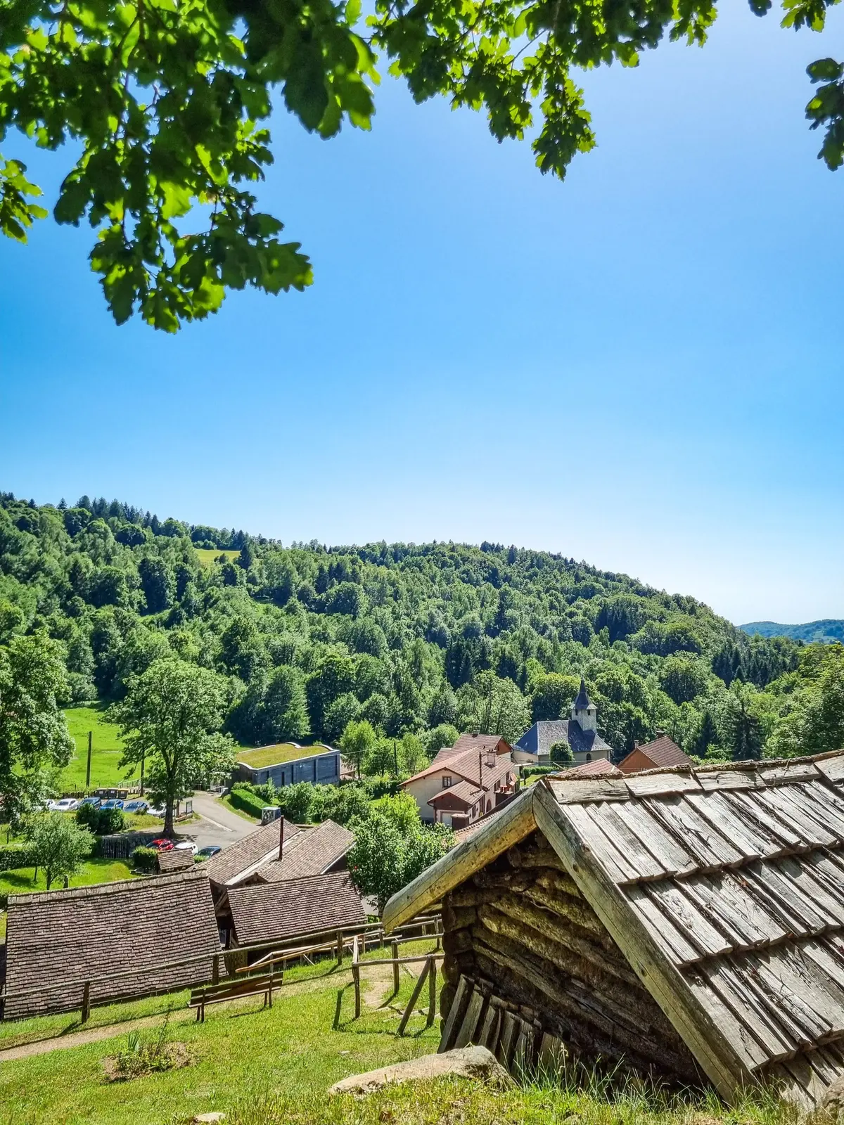 VISITE GUIDÉE : Parcours-découverte au cœur des collections