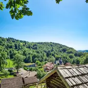 VISITE GUIDÉE : Parcours-découverte au cœur des collections