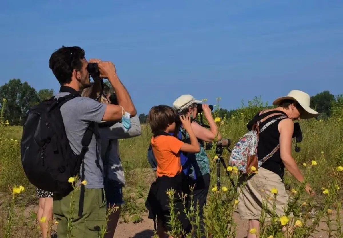 Oiseaux et orchidées de la Boitardière 