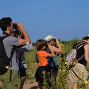 Oiseaux et orchidées de la Boitardière 