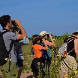 Oiseaux et orchidées de la Boitardière 