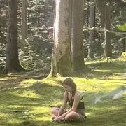 Sylvothérapie : Balade sensorielle en forêt