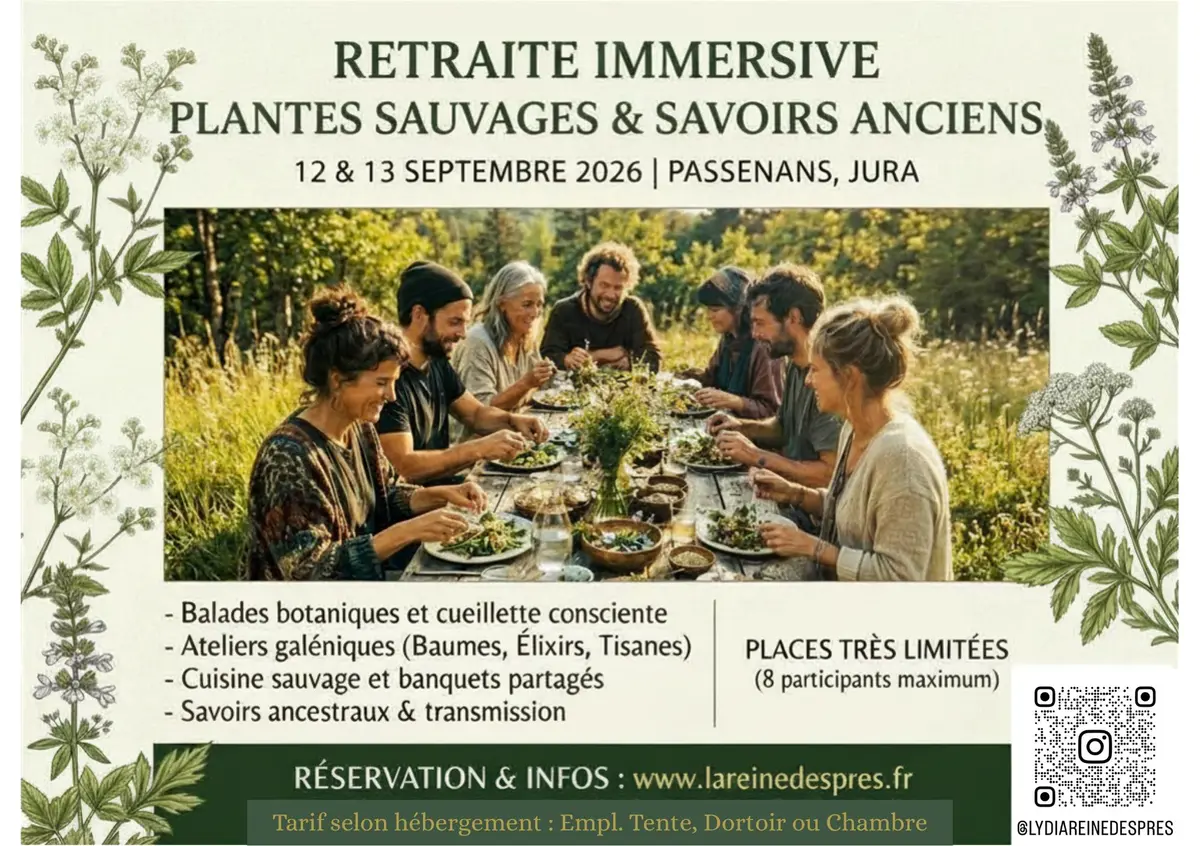 Retraite Immersive  -  Plantes sauvages et Savoirs anciens 