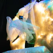 Spectacle en famille - Grandir m'inspire