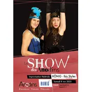 Le show des Anodins  