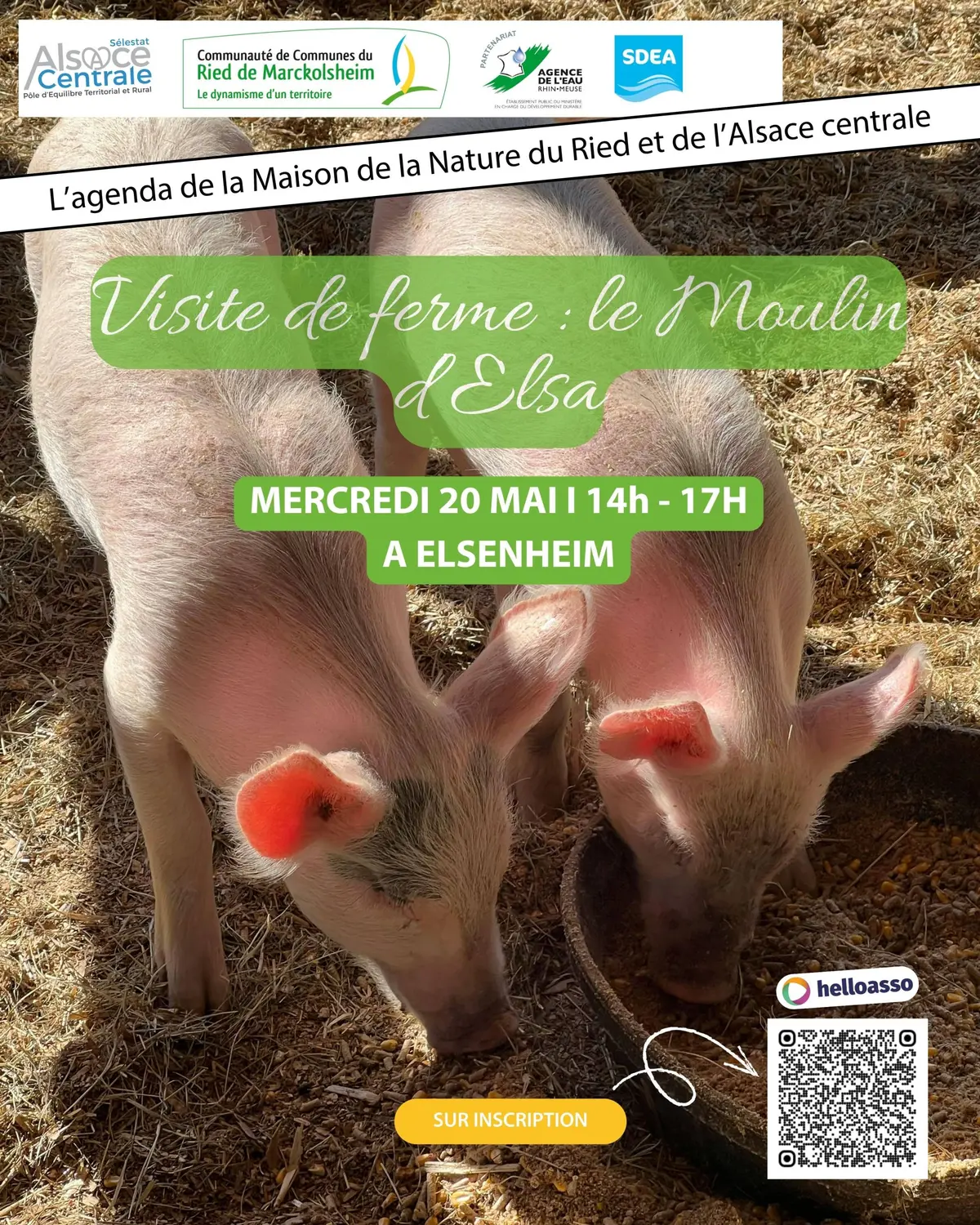 Visite de ferme : EARL du Moulin d'Elsa