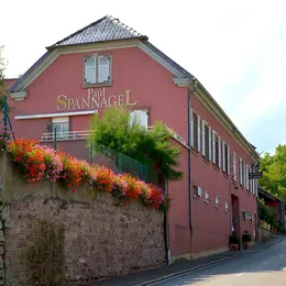 De la vigne au verre - secret du vin d'Alsace au domaine Spannagel Paul et fils