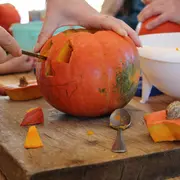 Atelier familles - De la courge à la lanterne
