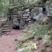 Saison Sauvage – Immersion en nature à Marlenheim
