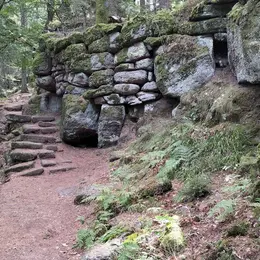 Saison Sauvage – Immersion en nature à Marlenheim