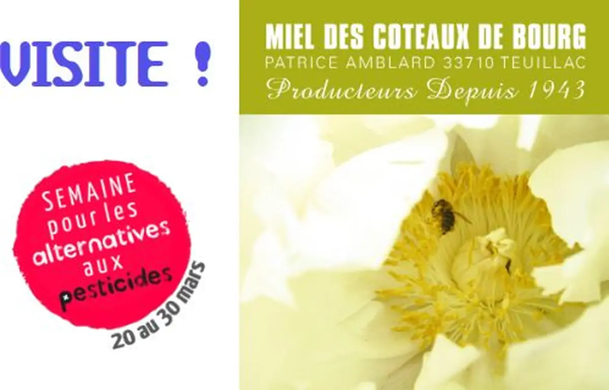 Visite rucher bio