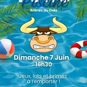 Toro piscine 