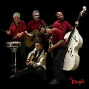 Les Vinyls en concert !