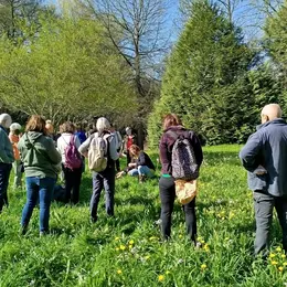 Sortie plantes sauvages comestibles à St Pierre de Mons