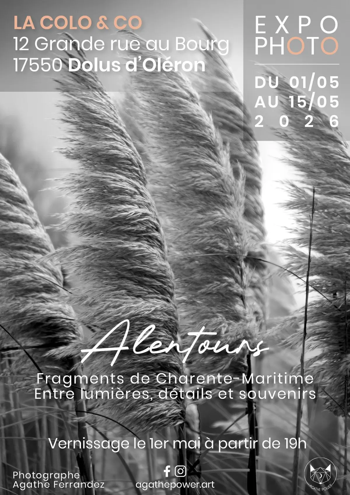 Alentours - Exposition photographique - Dolus d'Oléron