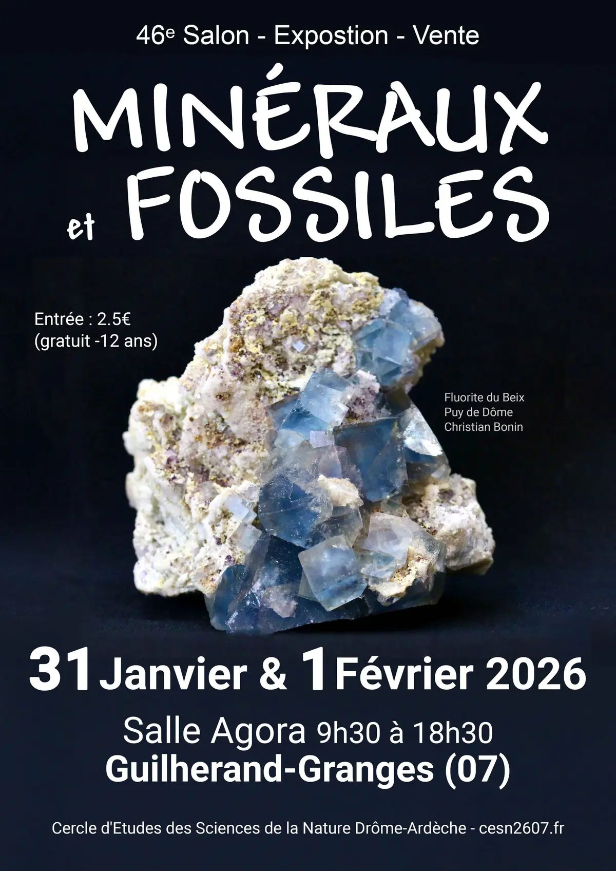 46ème bourse minéraux et fossiles 