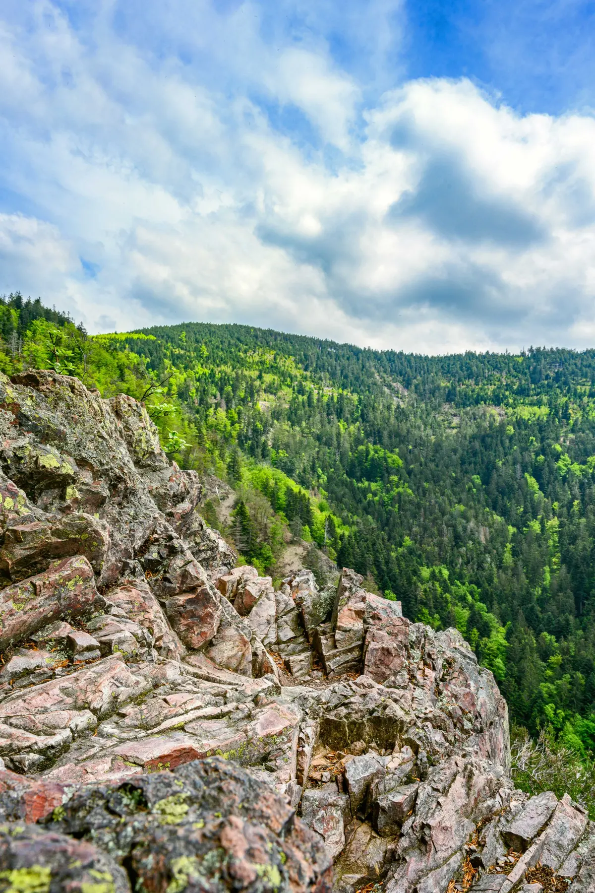 Karlsruher Grat - la Crête de Karlsruhe 