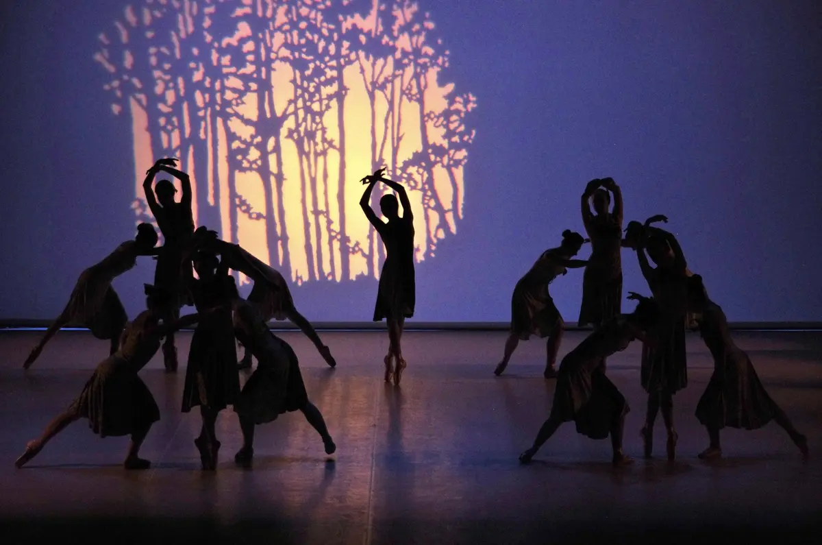 L’Akadémie école de danse 