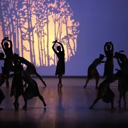 L’Akadémie école de danse 